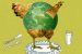 New laws drafted by Law Commission to end cruelty to birds (Poultry)