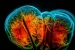 Technical and Ethical Issues around Gene Therapy, Stem Cell Therapy and Synthetic Biology