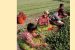 Government, World Bank ink loan agreement for Tamil Nadu Irrigated Agriculture Modernization Project