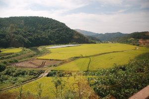 UP inks MoU with South Korea in field of tourism, skill development, culture and farming