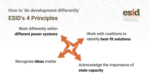 Effective States and Inclusive Development