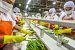 Food Processing in India