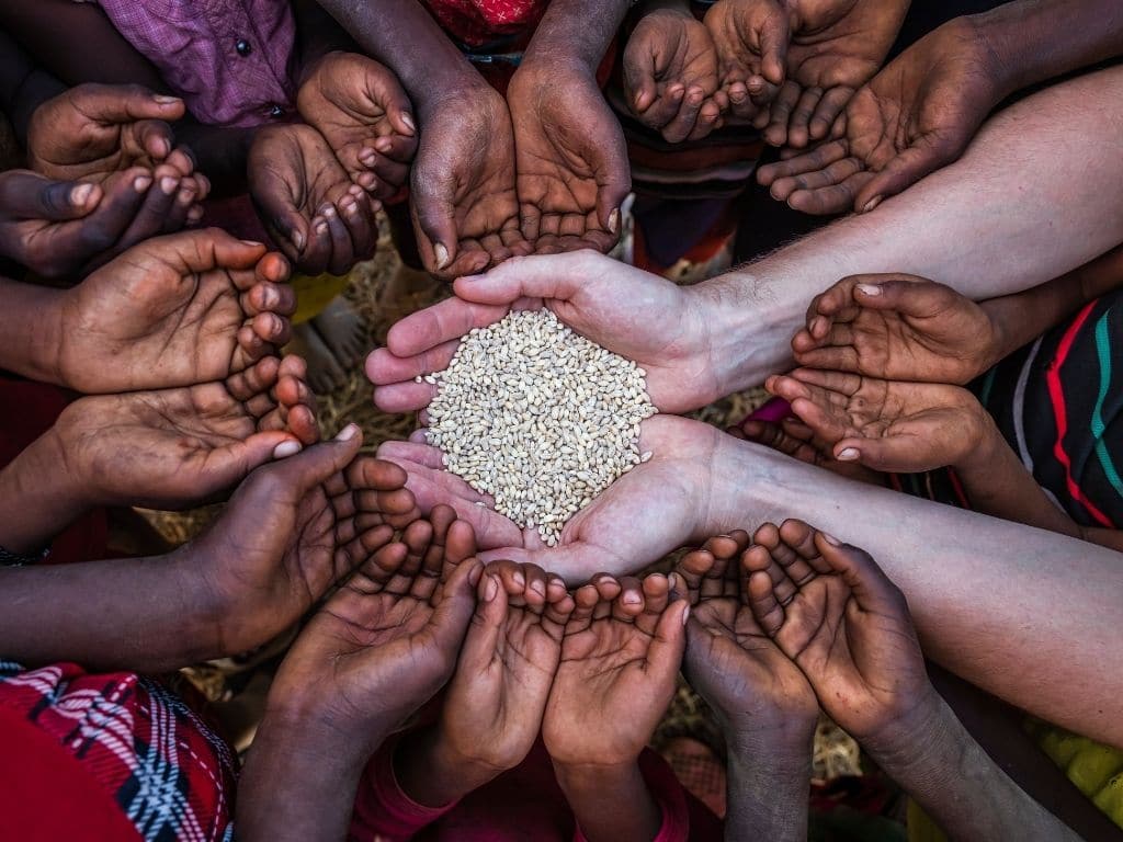 Food Security