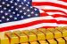 Gold Reserve Fund