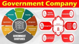 Government Company
