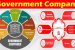 Government Company
