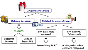 Grants for creation of capital assets