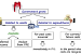 Grants for creation of capital assets