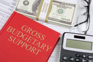 Gross Budgetary Support (GBS)