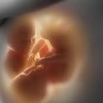 Haryana becomes first state to launch High-Risk Pregnancy portal