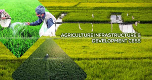 Infrastructure Cess