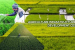 Infrastructure Cess