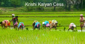Krishi Kalyan Cess (KKC)