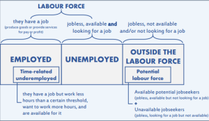 Labour Force