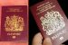 Differentiated Passports