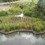Floating Treatment Wetland launched to purify Neknampur Lake in Hyderabad