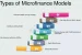 Models of Microfinance in India