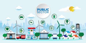 Public Sector Undertakings/Enterprises