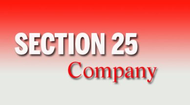 Section 25 Company