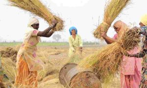 Unorganised Sector