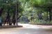 Maharashtra Government approves Ghodazari Wildlife Sanctuary