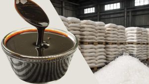 Export Duty on Sugar
