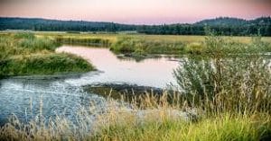 Brazzaville declaration signed to protect world’s largest tropical peatland