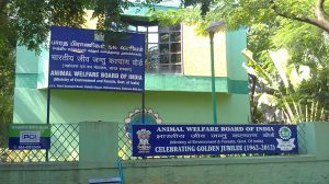 Animal Welfare Board of India headquarters shifted from Chennai to Ballabhgarh