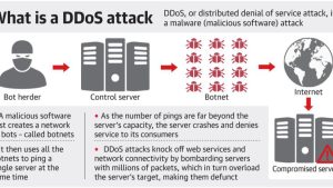 Saposhi: Threat of new malware looms over cyberspace
