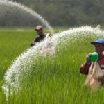 CCEA approves removal of ambiguities in Modified NPS-III