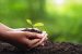 Green Good Deeds