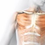 Interstitium: Scientists discover new organ in human body