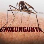 Researchers develop potent molecule to treat chikungunya
