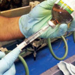 Government bans imports of hormone oxytocin