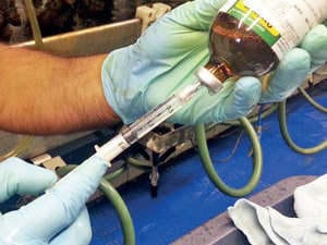 Government bans imports of hormone oxytocin