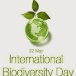 22 May: International Bio-diversity Day