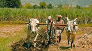 Kisan Kalyan Karyashala