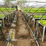 Pradhan Mantri Krishi Sinchayee Yojana: Cabinet approves Micro Irrigation Fund under NABARD