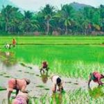 Rythu Bandhu Scheme: Telangana government launches investment support scheme for farmers