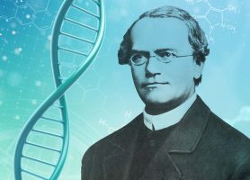 Gregor Mendel