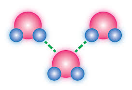 Intermolecular forces