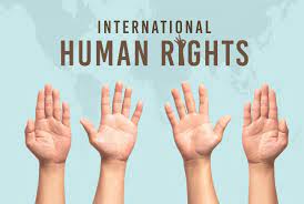 International human rights instruments