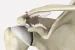 Ligament