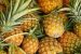 Queen pineapple as state fruit of Tripura