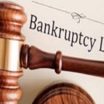 Insolvency and Bankruptcy Code (Amendment) Ordinance, 2018 Promulgated