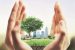 Environment Audit Rules 2025