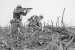 Battle of Okinawa