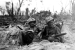 Battle of Peleliu