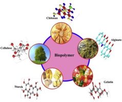 Biopolymer
