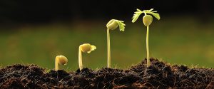 Botany